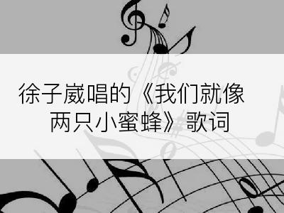 徐子崴唱的《我们就像两只小蜜蜂》歌词