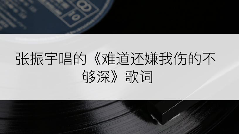 张振宇唱的《难道还嫌我伤的不够深》歌词