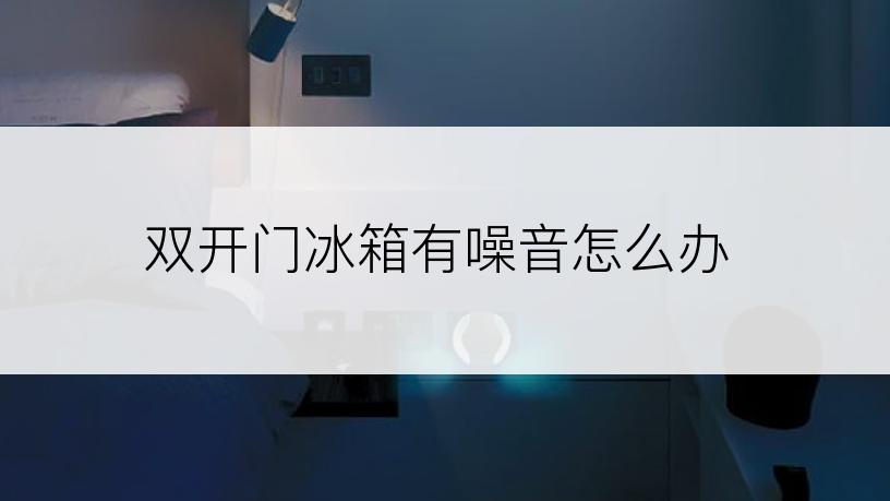 双开门冰箱有噪音怎么办