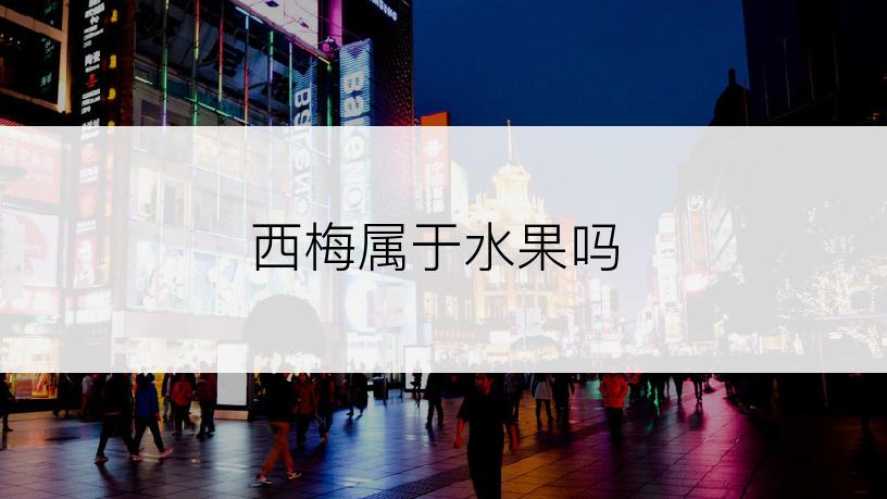 西梅属于水果吗