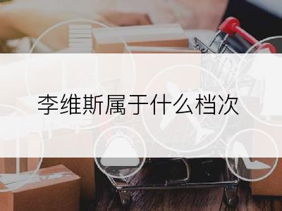 李维斯属于什么档次