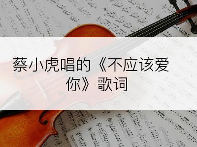 蔡小虎唱的《不应该爱你》歌词