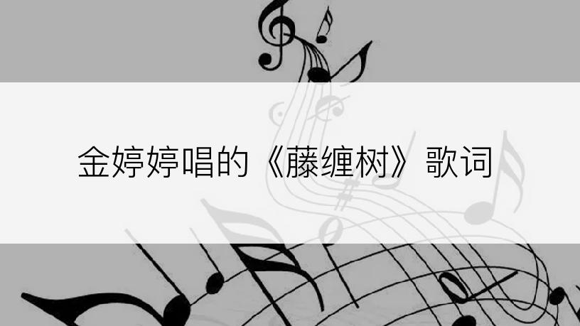 金婷婷唱的《藤缠树》歌词