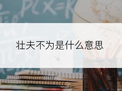 壮夫不为是什么意思