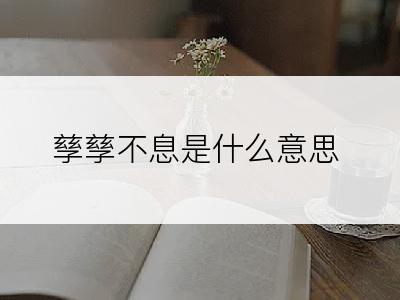孳孳不息是什么意思