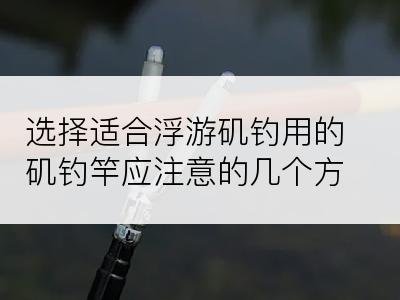 选择适合浮游矶钓用的矶钓竿应注意的几个方面