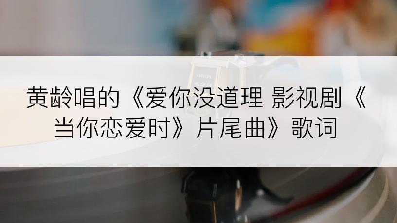黄龄唱的《爱你没道理 影视剧《当你恋爱时》片尾曲》歌词