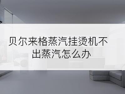 贝尔来格蒸汽挂烫机不出蒸汽怎么办