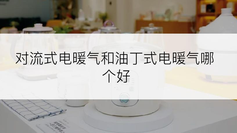 对流式电暖气和油丁式电暖气哪个好