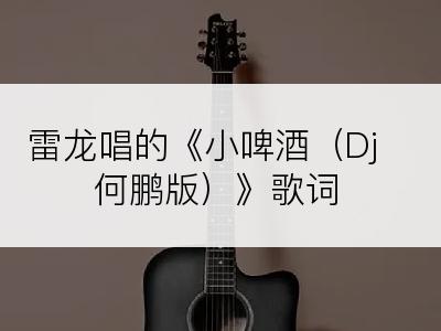 雷龙唱的《小啤酒（Dj何鹏版）》歌词