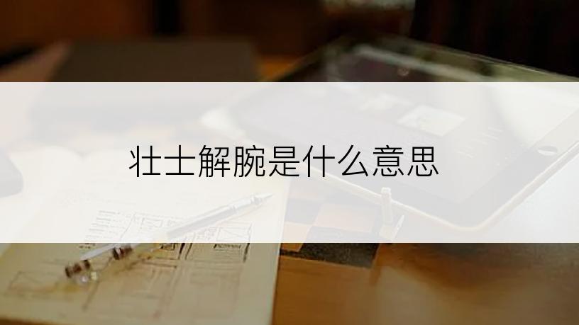 壮士解腕是什么意思