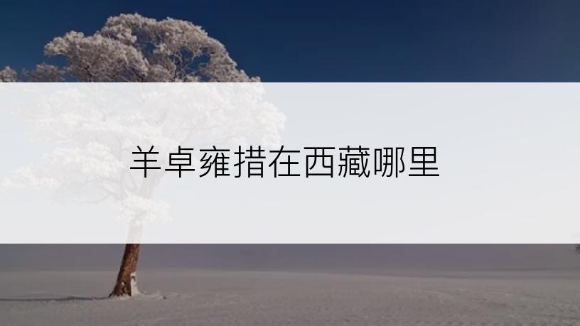 羊卓雍措在西藏哪里