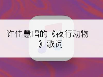 许佳慧唱的《夜行动物》歌词