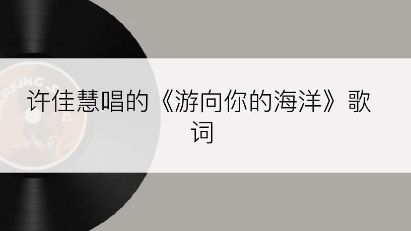 许佳慧唱的《游向你的海洋》歌词