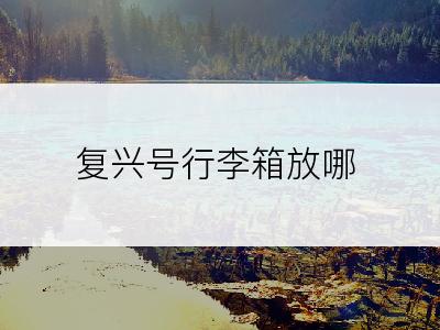 复兴号行李箱放哪