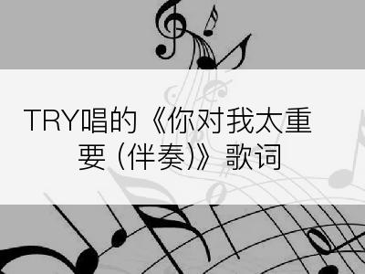 TRY唱的《你对我太重要 (伴奏)》歌词