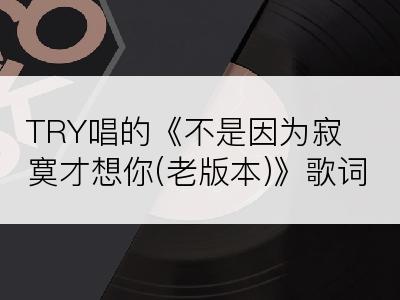 TRY唱的《不是因为寂寞才想你(老版本)》歌词