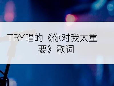 TRY唱的《你对我太重要》歌词