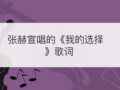 张赫宣唱的《我的选择》歌词