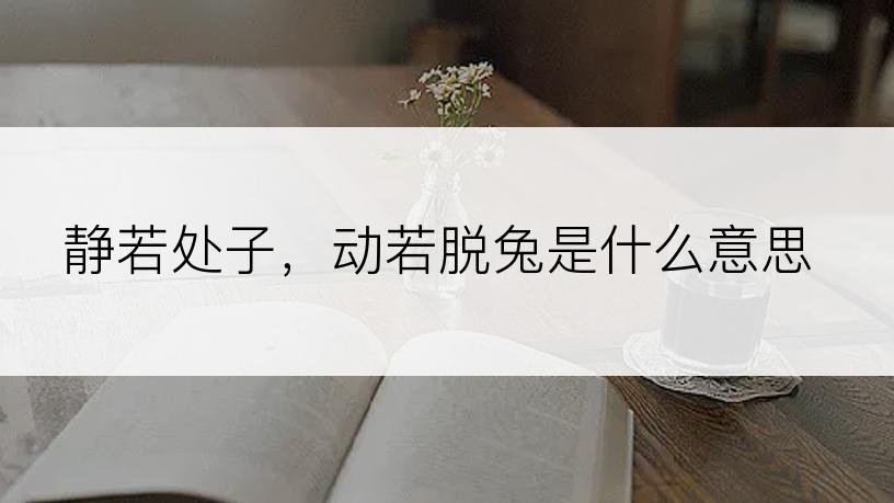 静若处子，动若脱兔是什么意思
