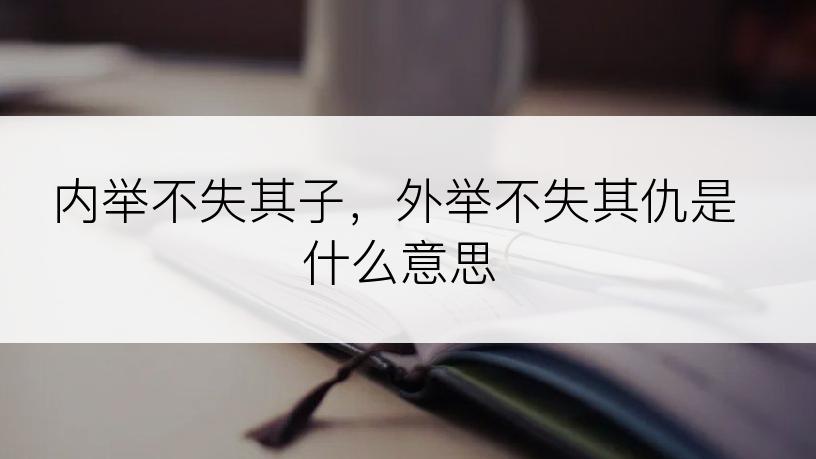 内举不失其子，外举不失其仇是什么意思