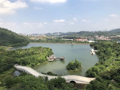 东莞水濂山桃花林在哪