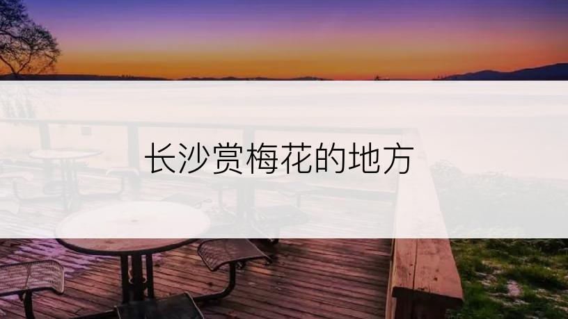 长沙赏梅花的地方