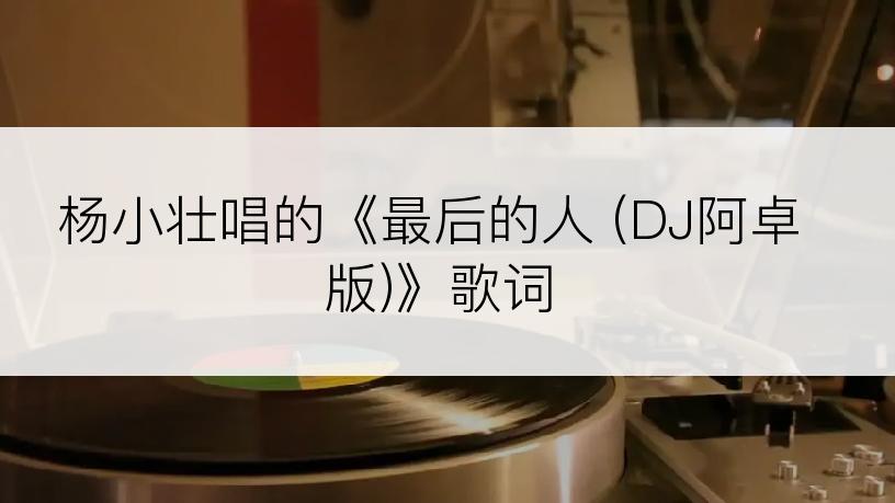 杨小壮唱的《最后的人 (DJ阿卓版)》歌词