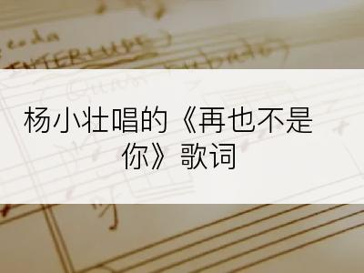 杨小壮唱的《再也不是你》歌词