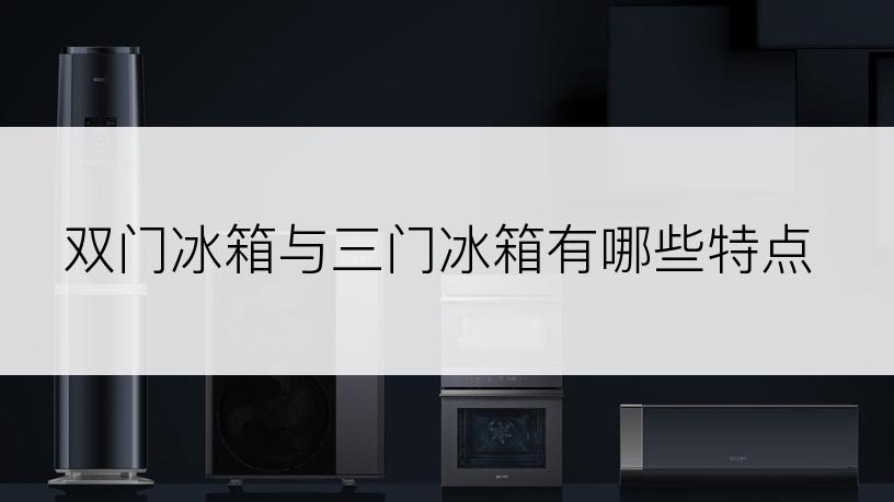 双门冰箱与三门冰箱有哪些特点