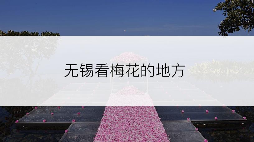 无锡看梅花的地方
