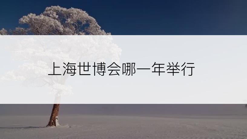 上海世博会哪一年举行