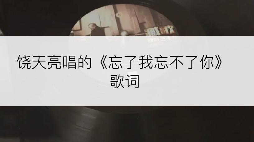 饶天亮唱的《忘了我忘不了你》歌词