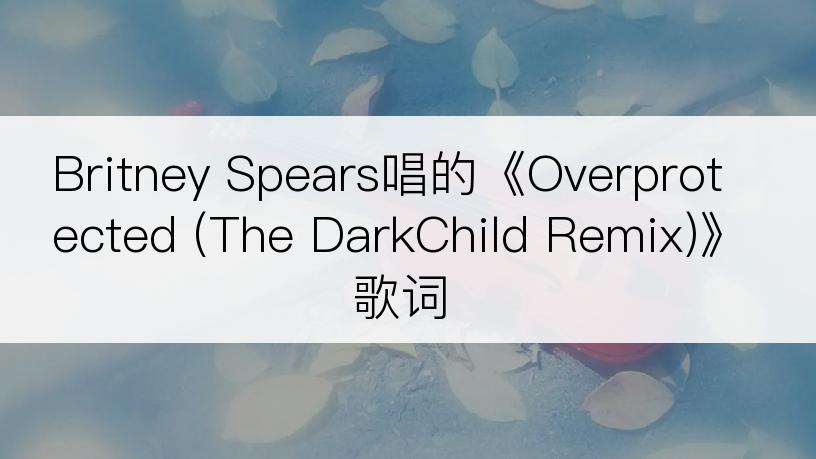 Britney Spears唱的《Overprotected (The DarkChild Remix)》歌词