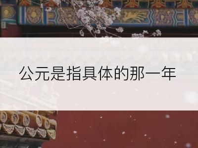 公元是指具体的那一年