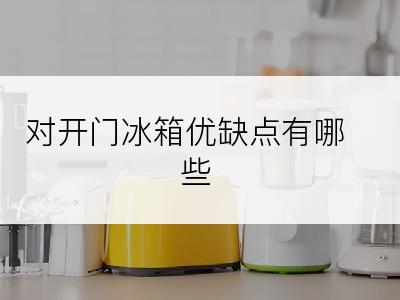 对开门冰箱优缺点有哪些