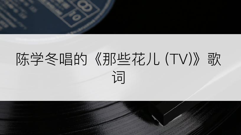 陈学冬唱的《那些花儿 (TV)》歌词