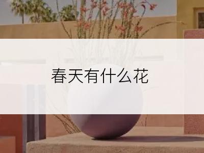 春天有什么花
