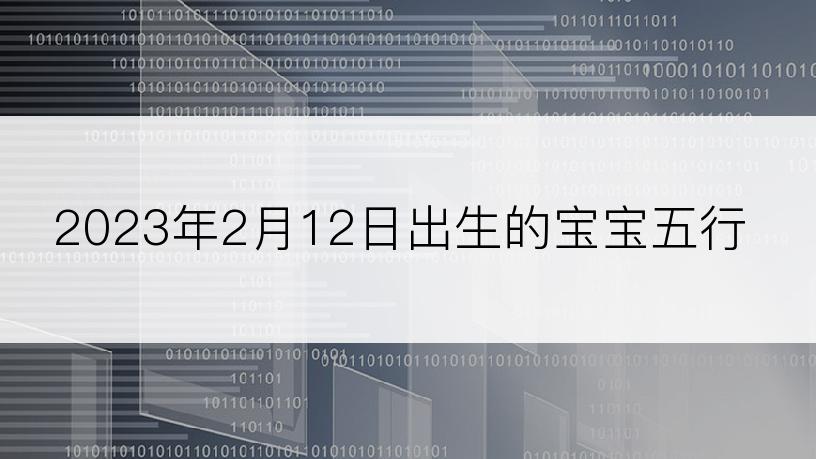 2023年2月12日出生的宝宝五行
