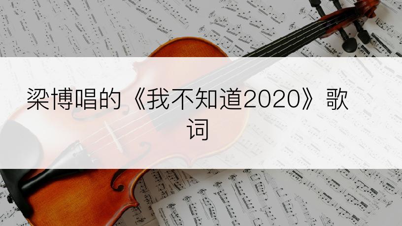 梁博唱的《我不知道2020》歌词