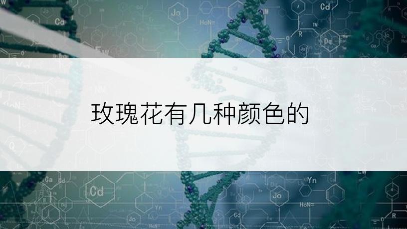 玫瑰花有几种颜色的