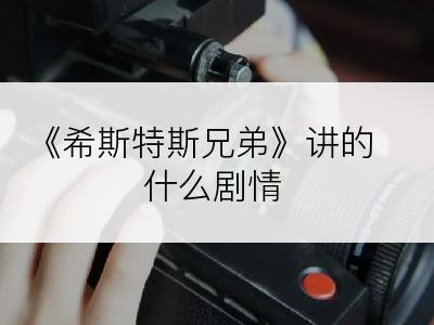 《希斯特斯兄弟》讲的什么剧情