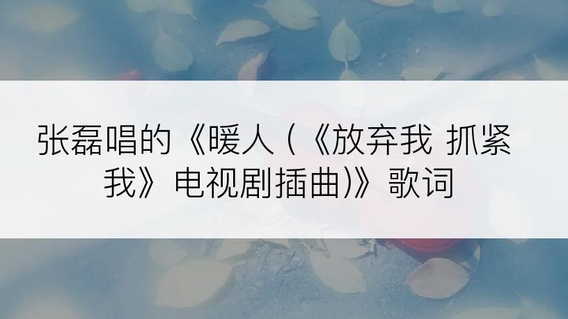 张磊唱的《暖人 (《放弃我 抓紧我》电视剧插曲)》歌词
