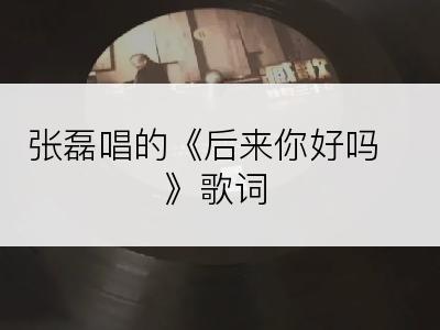 张磊唱的《后来你好吗》歌词
