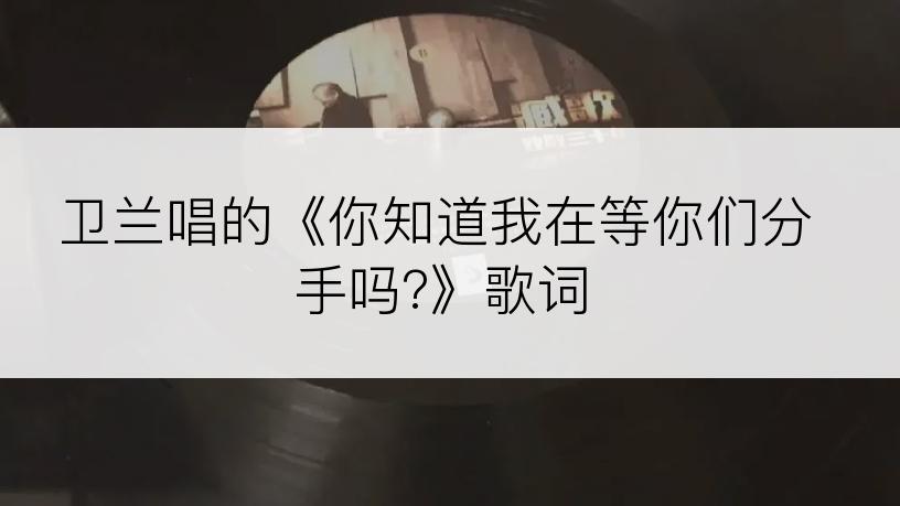 卫兰唱的《你知道我在等你们分手吗?》歌词