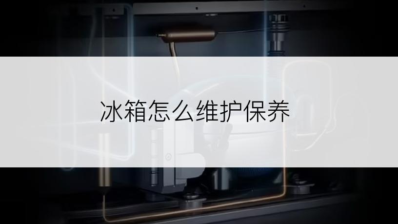 冰箱怎么维护保养