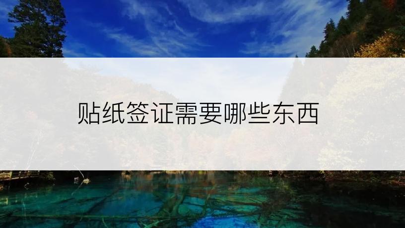 贴纸签证需要哪些东西