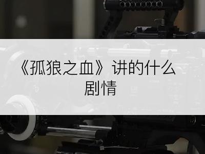 《孤狼之血》讲的什么剧情