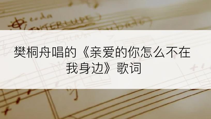 樊桐舟唱的《亲爱的你怎么不在我身边》歌词