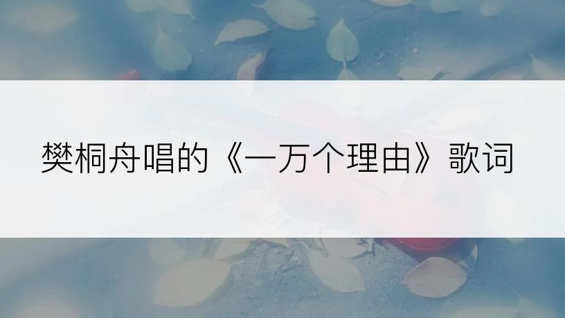 樊桐舟唱的《一万个理由》歌词